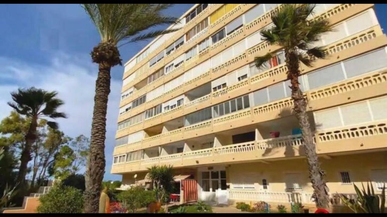 Espacioso Estudio Cerca De La Playa La Mata La Mata  Εξωτερικό φωτογραφία